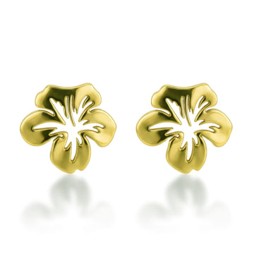 Solmira Gold